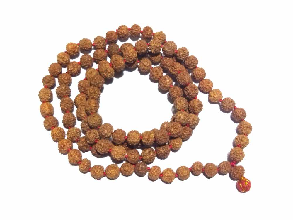 Abhimantrit Mukhi Rudraksha Mala Big Size Certified Mm With